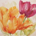 Obraz Pastelowe tulipany I