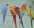 Obraz Pięć papug