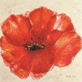 Obraz Szkic z czerwonym kwiatem