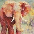 Obraz Słoń