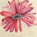 Obraz Szkic z różowym kwiatem