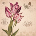 Obraz Dekor - Tulipan