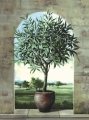 Obraz Pejzaz z drzewkiem oliwnym
