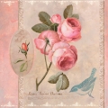 Obraz Album z różami